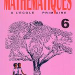 Pratique des Mathématiques 6