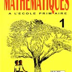 Pratique des Mathématiques 1e prim.