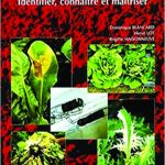 Maladies des salades-identifier, connaître et maîtriser
