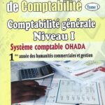 Cours de comptabilité générale niveau 1